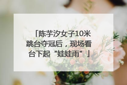 陈芋汐女子10米跳台夺冠后，现场看台下起“娃娃雨”