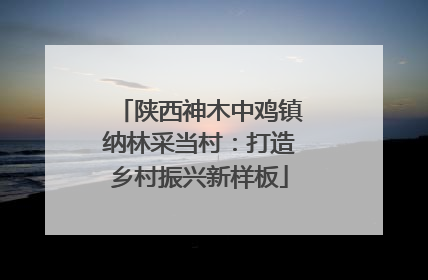 陕西神木中鸡镇纳林采当村：打造乡村振兴新样板