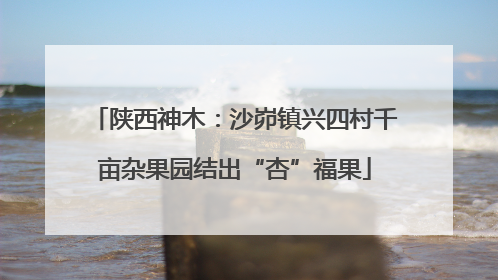 陕西神木：沙峁镇兴四村千亩杂果园结出“杏”福果