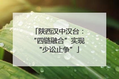 陕西汉中汉台：“四链融合”实现“少讼止争”