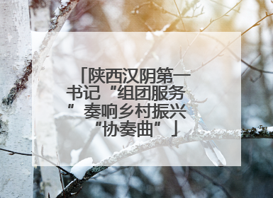 陕西汉阴第一书记“组团服务”奏响乡村振兴“协奏曲”
