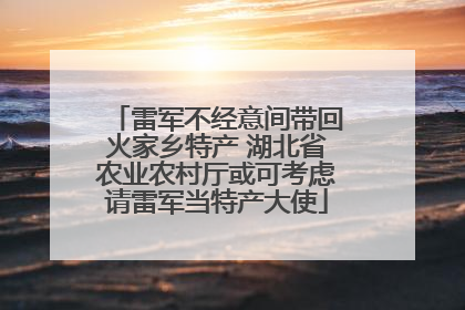 雷军不经意间带回火家乡特产 湖北省农业农村厅或可考虑请雷军当特产大使