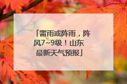 雷雨或阵雨，阵风7~9级！山东最新天气预报