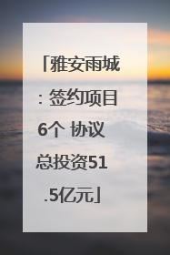 雅安雨城：签约项目6个 协议总投资51.5亿元