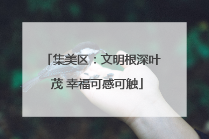 集美区：文明根深叶茂 幸福可感可触