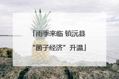 雨季来临 镇沅县“菌子经济”升温