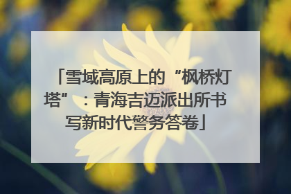 雪域高原上的“枫桥灯塔”：青海吉迈派出所书写新时代警务答卷