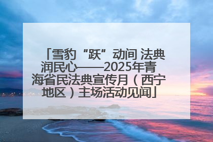 雪豹“跃”动间 法典润民心——2025年青海省民法典宣传月（西宁地区）主场活动见闻