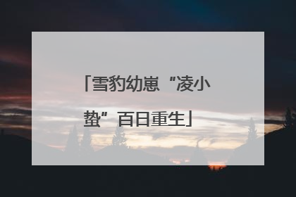 雪豹幼崽“凌小蛰”百日重生