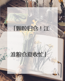 颗粒归仓！江淮粮仓夏收忙