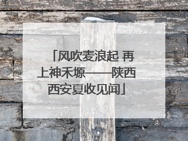风吹麦浪起 再上神禾塬——陕西西安夏收见闻