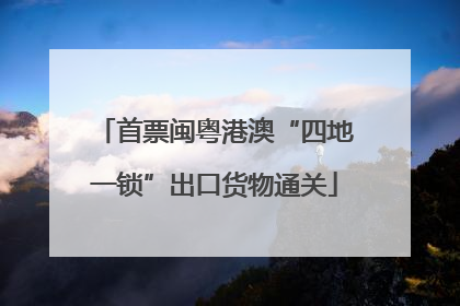 首票闽粤港澳“四地一锁”出口货物通关