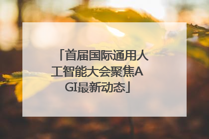 首届国际通用人工智能大会聚焦AGI最新动态