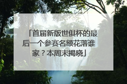 首届新版世俱杯的最后一个参赛名额花落谁家？本周末揭晓