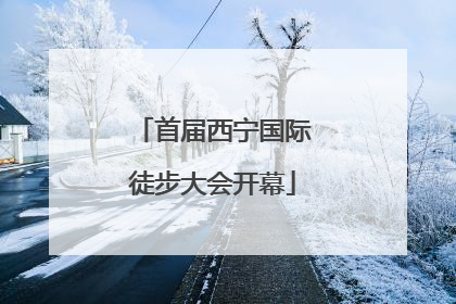 首届西宁国际徒步大会开幕