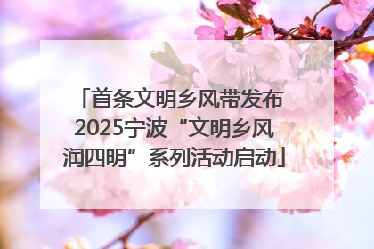 首条文明乡风带发布 2025宁波“文明乡风润四明”系列活动启动