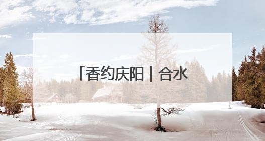 香约庆阳｜合水唐旗村开启农产品直播“云”销路