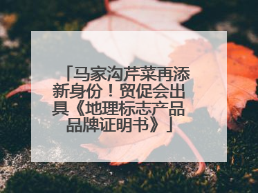马家沟芹菜再添新身份！贸促会出具《地理标志产品品牌证明书》