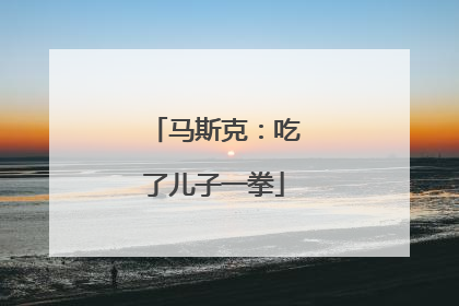 马斯克：吃了儿子一拳
