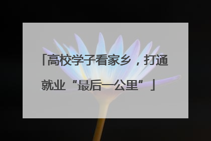 高校学子看家乡，打通就业“最后一公里”