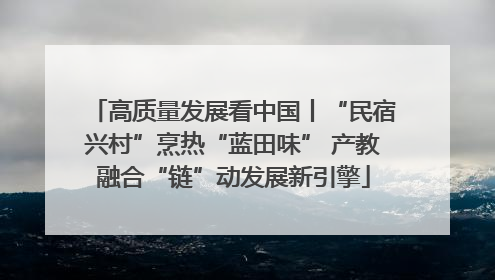 高质量发展看中国丨“民宿兴村”烹热“蓝田味” 产教融合“链”动发展新引擎
