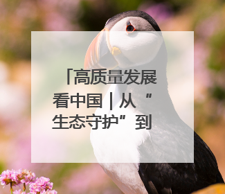 高质量发展看中国｜从“生态守护”到“碳汇生金”——中国石油大庆油田绿色蝶变