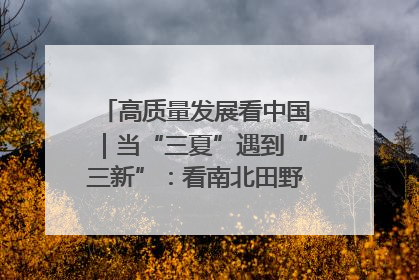 高质量发展看中国｜当“三夏”遇到“三新”：看南北田野里的科技共生记