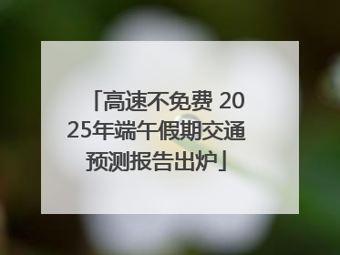 高速不免费 2025年端午假期交通预测报告出炉