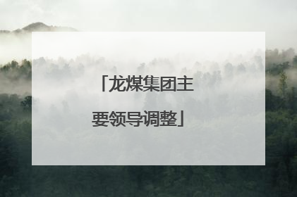 龙煤集团主要领导调整