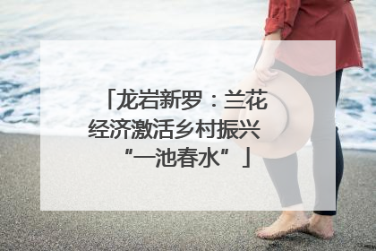 龙岩新罗：兰花经济激活乡村振兴“一池春水”