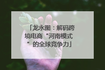 龙永图：解码跨境电商“河南模式”的全球竞争力