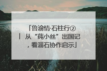 鲁渝情·石柱行② ︳从“莼小丝”出国记，看淄石协作启示