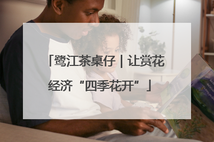 鹭江茶桌仔｜让赏花经济“四季花开”