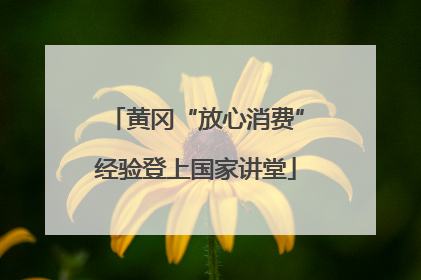 黄冈“放心消费”经验登上国家讲堂
