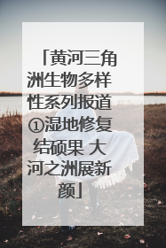 黄河三角洲生物多样性系列报道①湿地修复结硕果 大河之洲展新颜