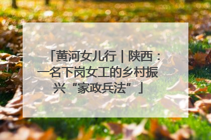 黄河女儿行｜陕西：一名下岗女工的乡村振兴“家政兵法”