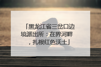 黑龙江省三岔口边境派出所：在界河畔，扎根红色沃土