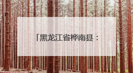 黑龙江省桦南县：精修绿韵绘新景 细护芳枝映晴空
