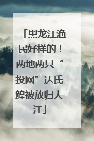 黑龙江渔民好样的！两地两只“投网”达氏鳇被放归大江