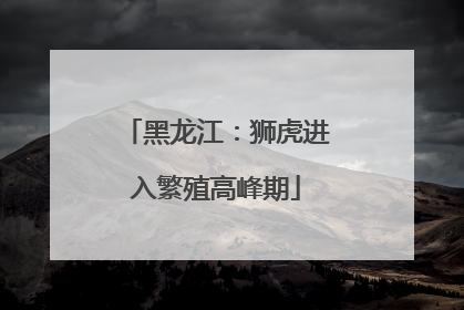 黑龙江：狮虎进入繁殖高峰期