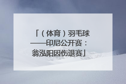 （体育）羽毛球——印尼公开赛：翁泓阳因伤退赛