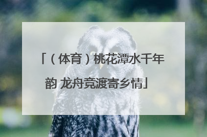 （体育）桃花潭水千年韵 龙舟竞渡寄乡情