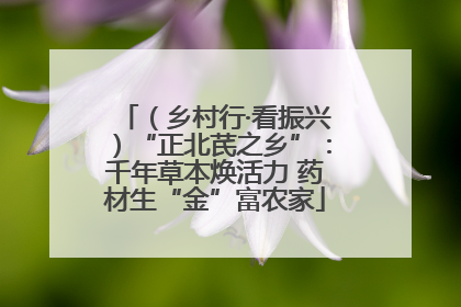 （乡村行·看振兴）“正北芪之乡”：千年草本焕活力 药材生“金”富农家