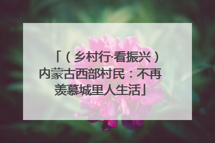 （乡村行·看振兴）内蒙古西部村民：不再羡慕城里人生活