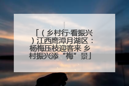 （乡村行·看振兴）江西鹰潭月湖区：杨梅压枝迎客来 乡村振兴添“梅”景