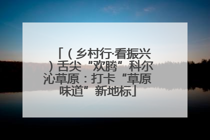 （乡村行·看振兴）舌尖“欢腾”科尔沁草原：打卡“草原味道”新地标