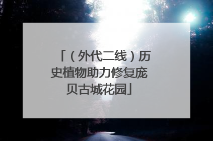 （外代二线）历史植物助力修复庞贝古城花园
