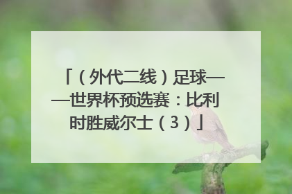 （外代二线）足球——世界杯预选赛：比利时胜威尔士（3）