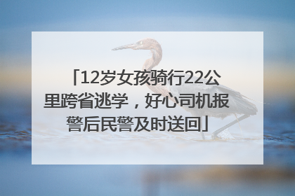 12岁女孩骑行22公里跨省逃学，好心司机报警后民警及时送回