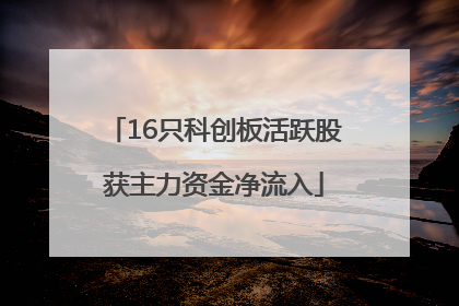 16只科创板活跃股获主力资金净流入